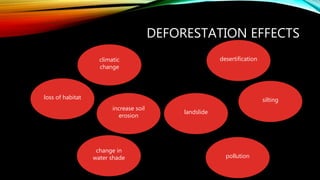 DEFORESTATION EFFECTS
increase soil
erosion
change in
water shade
desertification
landslide
pollution
loss of habitat
climatic
change
silting
 