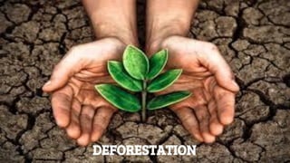 Deforestation
DEFORESTATION
 