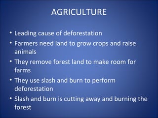 Deforestation | PPT