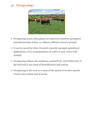 Overgrazing Graph Deforestation | PDF