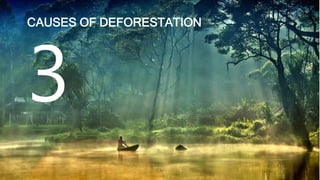 CAUSES OF DEFORESTATION
 