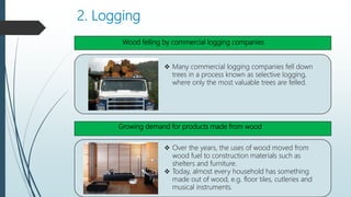 2. Logging
.
Wood felling by commercial logging companies
 Many commercial logging companies fell down
trees in a process known as selective logging,
where only the most valuable trees are felled.
Growing demand for products made from wood
 Over the years, the uses of wood moved from
wood fuel to construction materials such as
shelters and furniture.
 Today, almost every household has something
made out of wood, e.g. floor tiles, cutleries and
musical instruments.
 