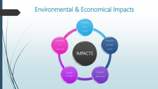 Environmental & Economical Impacts
IMPACTS
Increased
Soil
Erosion
Disruption
of Water
Cycles
Reduced
Biodiversity
Climate
Change
Disruption
of
Livelihoods
 