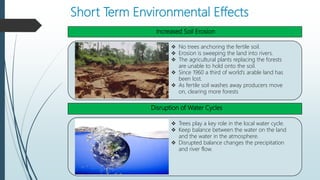 Short Term Environmental Effects
.
Increased Soil Erosion
Disruption of Water Cycles
 No trees anchoring the fertile soil.
 Erosion is sweeping the land into rivers.
 The agricultural plants replacing the forests
are unable to hold onto the soil.
 Since 1960 a third of world’s arable land has
been lost.
 As fertile soil washes away producers move
on, clearing more forests
 Trees play a key role in the local water cycle.
 Keep balance between the water on the land
and the water in the atmosphere.
 Disrupted balance changes the precipitation
and river flow.
 