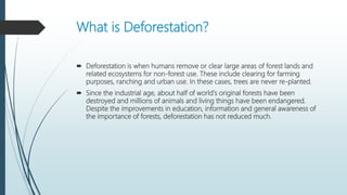 What is Deforestation?
 Deforestation is when humans remove or clear large areas of forest lands and
related ecosystems for non-forest use. These include clearing for farming
purposes, ranching and urban use. In these cases, trees are never re-planted.
 Since the industrial age, about half of world's original forests have been
destroyed and millions of animals and living things have been endangered.
Despite the improvements in education, information and general awareness of
the importance of forests, deforestation has not reduced much.
 
