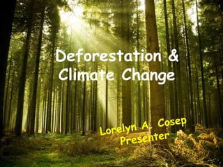 Deforestation &
Climate Change
 