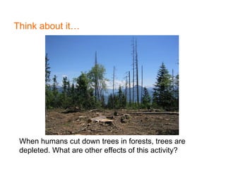 Think about it…
1
When humans cut down trees in forests, trees are
depleted. What are other effects of this activity?
 