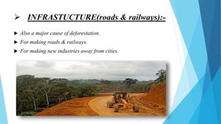 Deforestation | PPTX