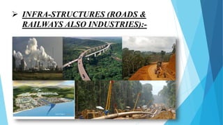 Deforestation | PPTX