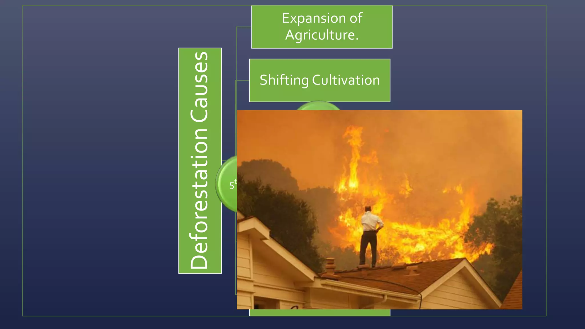 deforestation-ppt