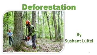 Deforestation
By
Sushant Luitel
6/30/2021 1
 