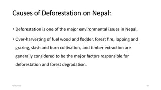 Causes of Deforestation on Nepal:
• Deforestation is one of the major environmental issues in Nepal.
• Over-harvesting of fuel wood and fodder, forest ﬁre, lopping and
grazing, slash and burn cultivation, and timber extraction are
generally considered to be the major factors responsible for
deforestation and forest degradation.
6/30/2021 10
 