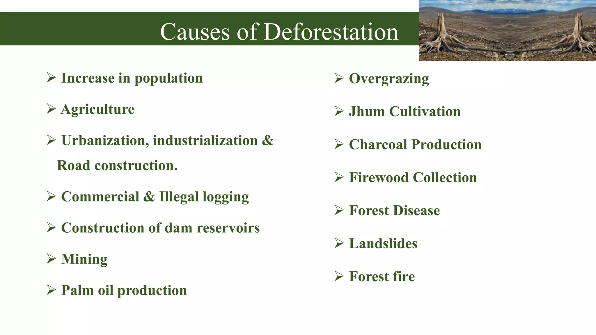 Causes of Deforestation
 Overgrazing
 Jhum Cultivation
 Charcoal Production
 Firewood Collection
 Forest Disease
 Landslides
 Forest fire
 Increase in population
 Agriculture
 Urbanization, industrialization &
Road construction.
 Commercial & Illegal logging
 Construction of dam reservoirs
 Mining
 Palm oil production
 