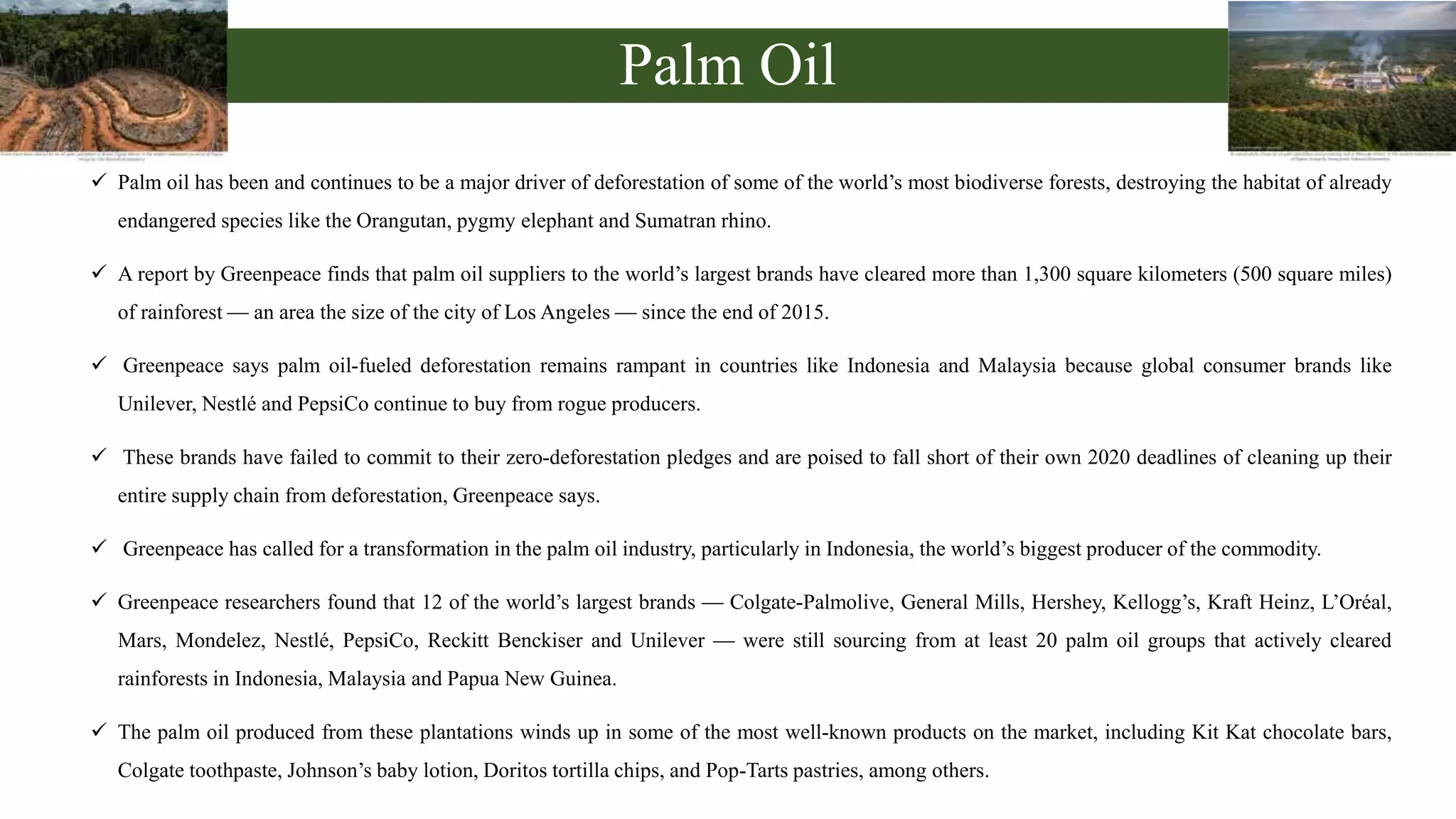 Palm Oil
 Palm oil has been and continues to be a major driver of deforestation of some of the world’s most biodiverse forests, destroying the habitat of already
endangered species like the Orangutan, pygmy elephant and Sumatran rhino.
 A report by Greenpeace finds that palm oil suppliers to the world’s largest brands have cleared more than 1,300 square kilometers (500 square miles)
of rainforest — an area the size of the city of Los Angeles — since the end of 2015.
 Greenpeace says palm oil-fueled deforestation remains rampant in countries like Indonesia and Malaysia because global consumer brands like
Unilever, Nestlé and PepsiCo continue to buy from rogue producers.
 These brands have failed to commit to their zero-deforestation pledges and are poised to fall short of their own 2020 deadlines of cleaning up their
entire supply chain from deforestation, Greenpeace says.
 Greenpeace has called for a transformation in the palm oil industry, particularly in Indonesia, the world’s biggest producer of the commodity.
 Greenpeace researchers found that 12 of the world’s largest brands — Colgate-Palmolive, General Mills, Hershey, Kellogg’s, Kraft Heinz, L’Oréal,
Mars, Mondelez, Nestlé, PepsiCo, Reckitt Benckiser and Unilever — were still sourcing from at least 20 palm oil groups that actively cleared
rainforests in Indonesia, Malaysia and Papua New Guinea.
 The palm oil produced from these plantations winds up in some of the most well-known products on the market, including Kit Kat chocolate bars,
Colgate toothpaste, Johnson’s baby lotion, Doritos tortilla chips, and Pop-Tarts pastries, among others.
 