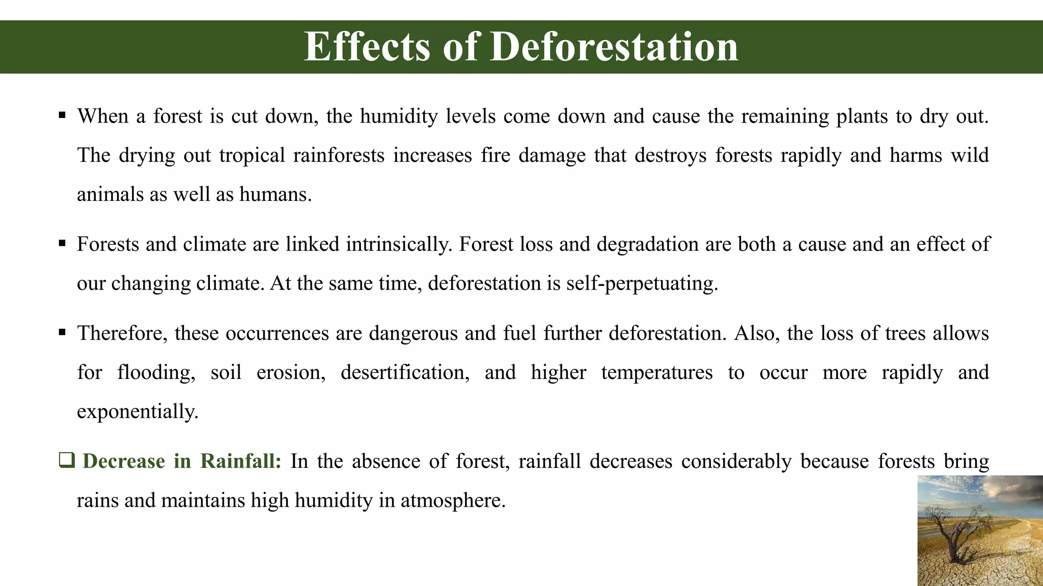 Effects of Deforestation
 When a forest is cut down, the humidity levels come down and cause the remaining plants to dry out.
The drying out tropical rainforests increases fire damage that destroys forests rapidly and harms wild
animals as well as humans.
 Forests and climate are linked intrinsically. Forest loss and degradation are both a cause and an effect of
our changing climate. At the same time, deforestation is self-perpetuating.
 Therefore, these occurrences are dangerous and fuel further deforestation. Also, the loss of trees allows
for flooding, soil erosion, desertification, and higher temperatures to occur more rapidly and
exponentially.
 Decrease in Rainfall: In the absence of forest, rainfall decreases considerably because forests bring
rains and maintains high humidity in atmosphere.
 