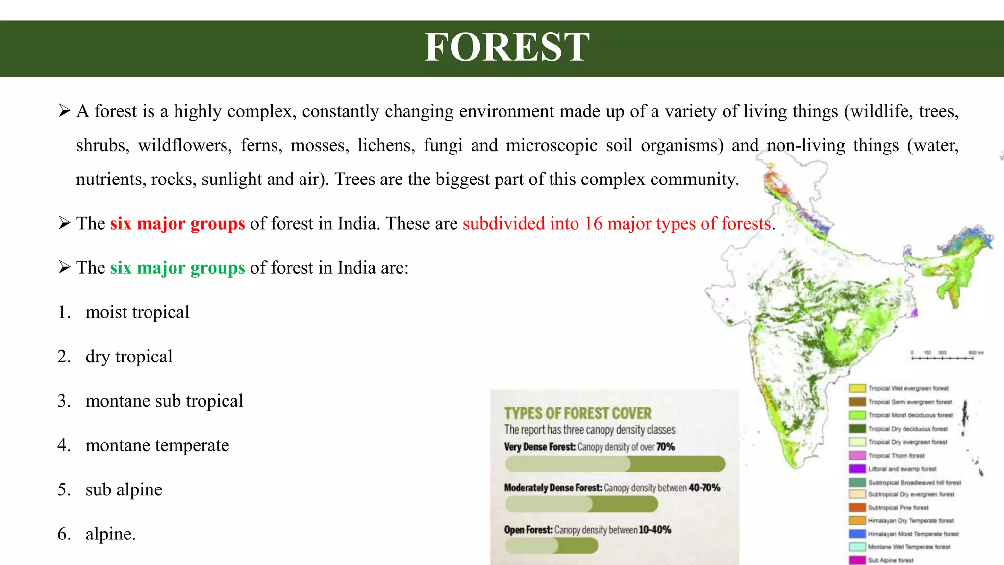 FOREST
 A forest is a highly complex, constantly changing environment made up of a variety of living things (wildlife, trees,
shrubs, wildflowers, ferns, mosses, lichens, fungi and microscopic soil organisms) and non-living things (water,
nutrients, rocks, sunlight and air). Trees are the biggest part of this complex community.
 The six major groups of forest in India. These are subdivided into 16 major types of forests.
 The six major groups of forest in India are:
1. moist tropical
2. dry tropical
3. montane sub tropical
4. montane temperate
5. sub alpine
6. alpine.
 