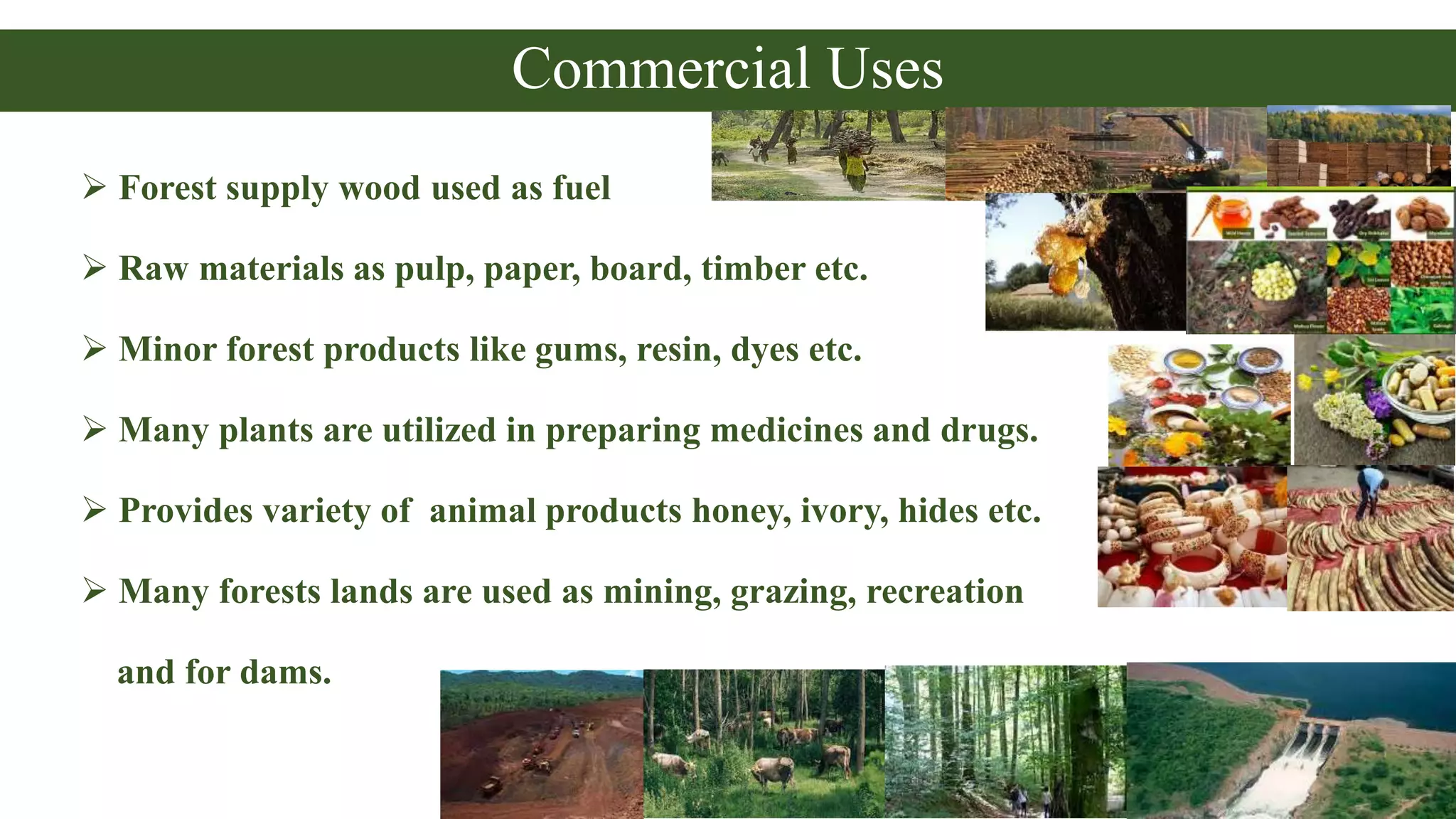 Commercial Uses
 Forest supply wood used as fuel
 Raw materials as pulp, paper, board, timber etc.
 Minor forest products like gums, resin, dyes etc.
 Many plants are utilized in preparing medicines and drugs.
 Provides variety of animal products honey, ivory, hides etc.
 Many forests lands are used as mining, grazing, recreation
and for dams.
 