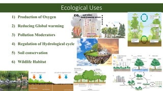 Deforestation | PPTX