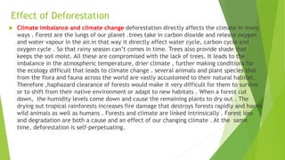 Effect of Deforestation
 Climate imbalance and climate change deforestation directly affects the climate in many
ways . Forest are the lungs of our planet .trees take in carbon dioxide and release oxygen
and water vapour in the air.in that way it directly affect water cycle, carbon cycle and
oxygen cycle . So that rainy season can’t comes in time. Trees also provide shade that
keeps the soil moist. All these are compromised with the lack of trees. It leads to the
imbalance in the atmospheric temperature, drier climate , further making conditions for
the ecology difficult that leads to climate change . several animals and plant species that
from the flora and fauna across the world are vastly accustomed to their natural habitat.
Therefore ,haphazard clearance of forests would make it very difficult for them to survive
or to shift from their native environment or adapt to new habitats . When a forest cut
down, the humidity levels come down and cause the remaining plants to dry out . The
drying out tropical rainforests increases fire damage that destroys forests rapidly and harms
wild animals as well as humans . Forests and climate are linked intrinsically . Forest loss
and degradation are both a cause and an effect of our changing climate . At the same
time, deforestation is self-perpetuating.
 