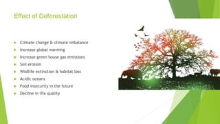 Effect of Deforestation
 Climate change & climate imbalance
 Increase global warming
 Increase green house gas emissions
 Soil erosion
 Wildlife extinction & habitat loss
 Acidic oceans
 Food insecurity in the future
 Decline in life quality
 
