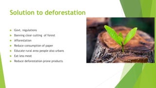 Solution to deforestation
 Govt. regulations
 Banning clear cutting of forest
 Afforestation
 Reduce consumption of paper
 Educate rural area people also urbans
 Eat less meat
 Reduce deforestation prone products
 