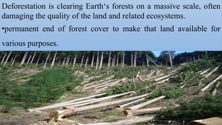 deforestation.pptx