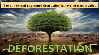 The unwise and unplanned destruction/removal of trees is called
 