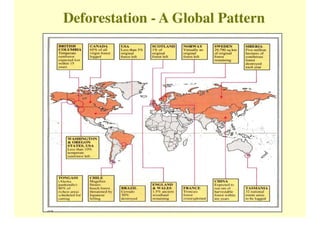 Deforestation