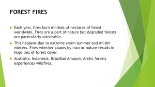 FOREST FIRES
 Each year, fires burn millions of hectares of forest
worldwide. Fires are a part of nature but degraded forests
are particularly vulnerable.
 This happens due to extreme warm summer and milder
winters. Fires whether causes by man or nature results in
huge loss of forest cover.
 Australia, Indonesia, Brazilian Amazon, Arctic forests
experiences wildfires.
 