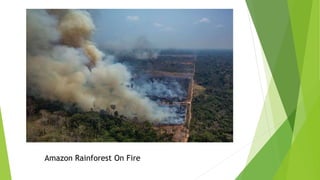 Amazon Rainforest On Fire
 