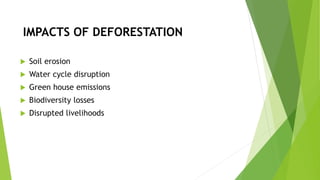 IMPACTS OF DEFORESTATION
 Soil erosion
 Water cycle disruption
 Green house emissions
 Biodiversity losses
 Disrupted livelihoods
 