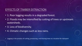 DEFORESTATION.pdf