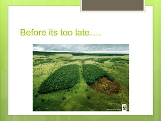 Before its too late….
 