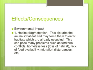 Effects/Consequences
 Environmental impact
 1. Habitat fragmentation. This disturbs the
animals' habitat and may force them to enter
habitats which are already occupied. This
can pose many problems such as territorial
conflicts, homelessness (loss of habitat), lack
of food availability, migration disturbances,
etc.
 