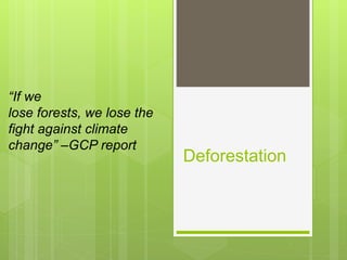 Deforestation
“If we
lose forests, we lose the
fight against climate
change” –GCP report
 