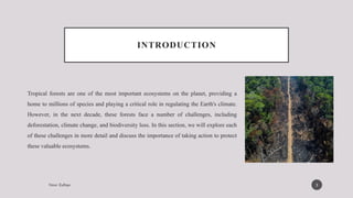 Critical Assessment of the Challenges Faced by Tropical Forest ...