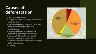deforestation.ppt[1]bestpptondeforestation.pptx