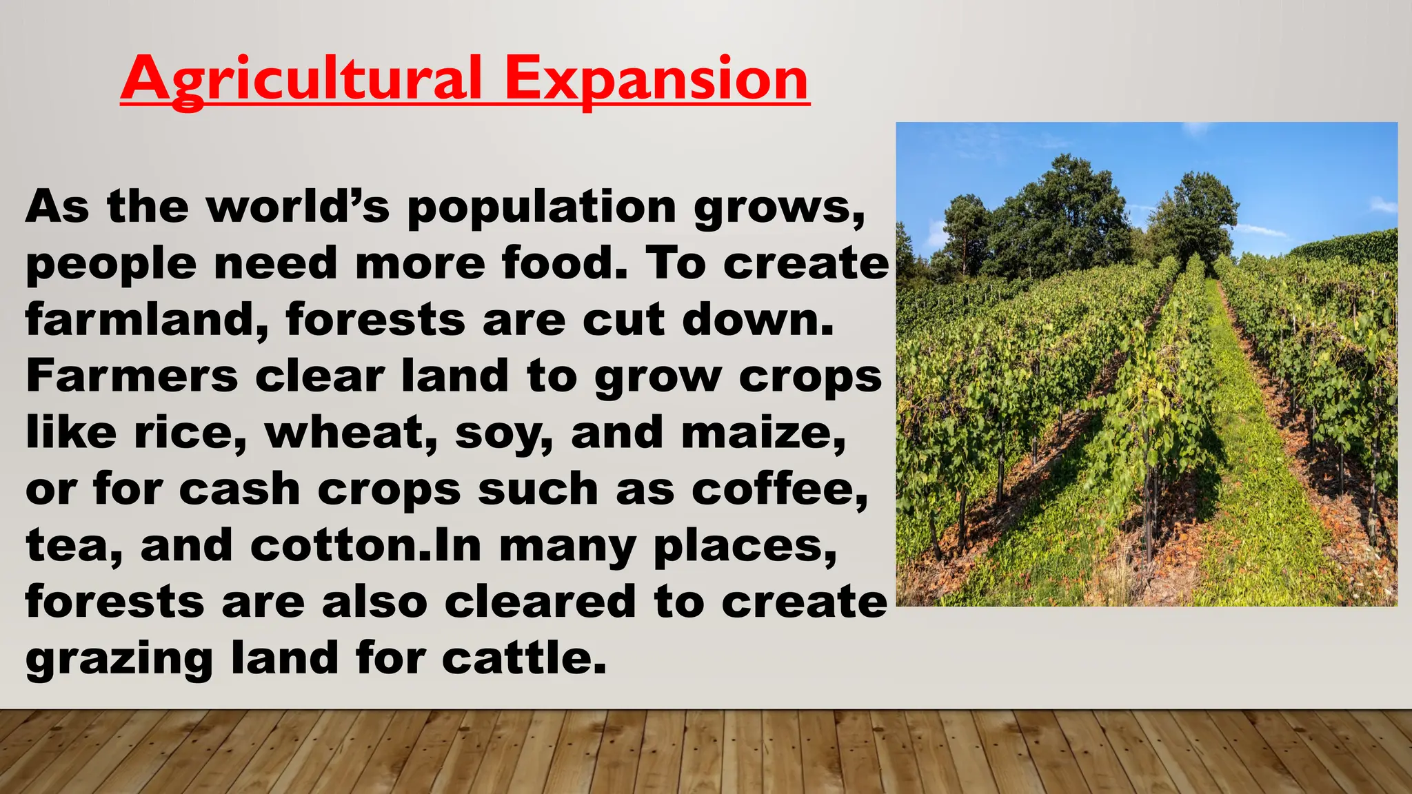 Deforestation, its definition, its causes, effect, solutions and .pptx