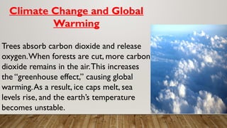 Climate Change and Global
Warming
Trees absorb carbon dioxide and release
oxygen.When forests are cut, more carbon
dioxide remains in the air.This increases
the “greenhouse effect,” causing global
warming.As a result, ice caps melt, sea
levels rise, and the earth’s temperature
becomes unstable.
 