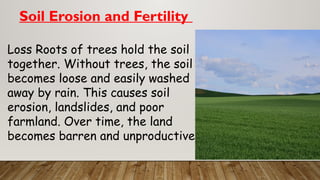 Soil Erosion and Fertility
Loss Roots of trees hold the soil
together. Without trees, the soil
becomes loose and easily washed
away by rain. This causes soil
erosion, landslides, and poor
farmland. Over time, the land
becomes barren and unproductive.
 