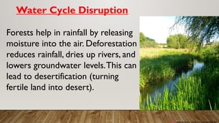 Water Cycle Disruption
Forests help in rainfall by releasing
moisture into the air. Deforestation
reduces rainfall, dries up rivers, and
lowers groundwater levels.This can
lead to desertification (turning
fertile land into desert).
This
Photo
by
Unknown
Author
is
licensed
under
CC
BY
 