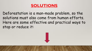 Deforestation is a man-made problem, so the
solutions must also come from human efforts.
Here are some effective and practical ways to
stop or reduce it:
SOLUTIONS
 