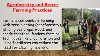 Agroforestry and Better
Farming Practices
Farmers can combine farming
with tree-planting (agroforestry),
which gives crops, wood, and
shade together. Modern farming
techniques like crop rotation and
using fertilizers can reduce the
need for clearing new land.
This Photo by Unknown Author is licensed under CC BY-SA-NC
 