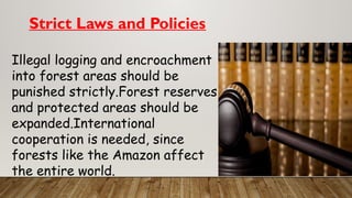 Strict Laws and Policies
Illegal logging and encroachment
into forest areas should be
punished strictly.Forest reserves
and protected areas should be
expanded.International
cooperation is needed, since
forests like the Amazon affect
the entire world.
 