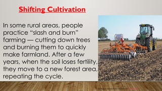 Shifting Cultivation
In some rural areas, people
practice “slash and burn”
farming — cutting down trees
and burning them to quickly
make farmland. After a few
years, when the soil loses fertility,
they move to a new forest area,
repeating the cycle.
This Photo by Unknown Author is licensed under CC BY-NC-ND
 