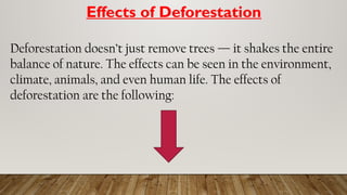 Effects of Deforestation
Deforestation doesn’t just remove trees — it shakes the entire
balance of nature. The effects can be seen in the environment,
climate, animals, and even human life. The effects of
deforestation are the following:
 