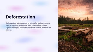 Deforestation is the clearing of forests for various reasons, such as ...