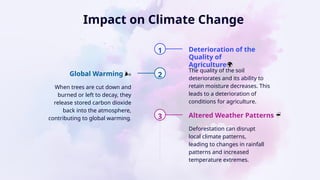 Deforestation is the clearing of forests for various reasons, such as ...