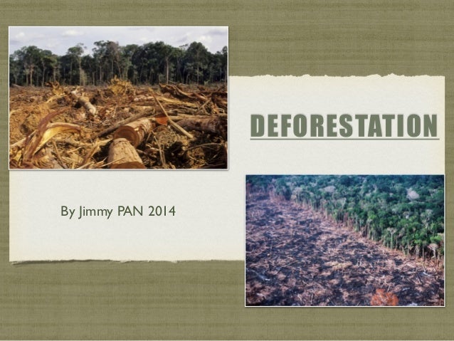 Deforestation With De Bono S Thinking Hats 14