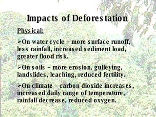 Deforestation Of The Tropical Rainforests | PPT